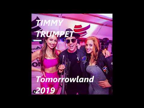 Raveille/Veldt/Pompeii (Timmy Trumpet Tomorrowland 2019 Mashup)