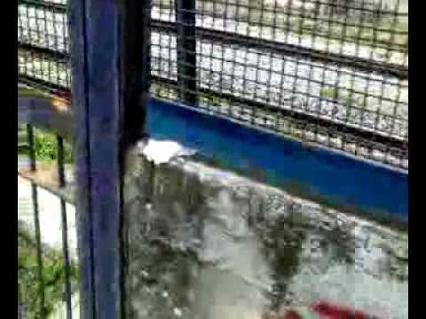 ex passaggio a livello della mia infanzia in via ferrovia a palma campania  san gennaro vesuviano