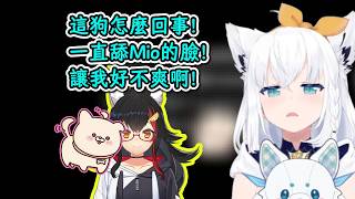 看到狗狗親瘋狂舔Mio臉後心生嫉妒的好狐！好狐：這狗怎麼回事！？【白上吹雪】【hololive中文精華】【ホロライブ切り抜き】