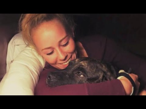 是什麼原因導致2只比特犬殺死主人？ (What Caused 2 Pit Bulls to Kill Their Owner?)