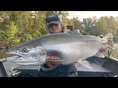 Giant FALL STEELHEAD 2022 - EPIC BOBBER DOWNS!