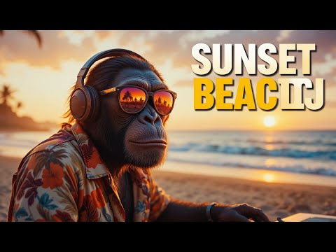 Sunset Beach DJ 🏝️ Chill House & Disco Vibes | Relaxing Music