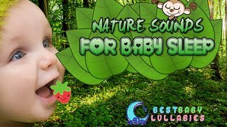 SONGS TO PUT A BABY TO SLEEP Lyrics Baby Lullaby Music -Soft Lullabies for Bedtime  Baby Sleep Music