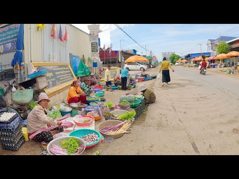 Cambodia Street Food Tour in Kandal Province, Countryside Roadside Market Compilation, Amazing!