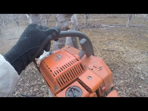 Grafting Season 2018 - day 19 - where do we get GRAFT WOOD?