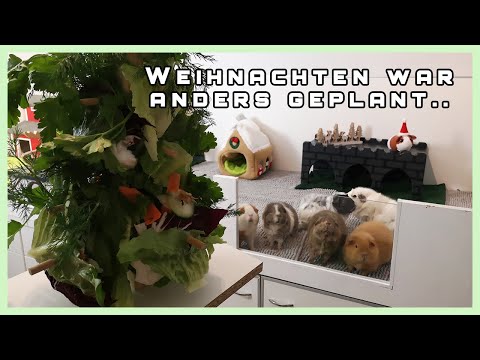 und dann kam alles anders als gedacht.. | Weihnachten bei den Wheekies