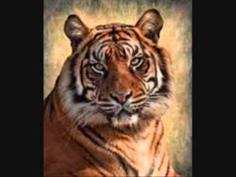 SOLID GOLD REVUE( FT ) RAY CRUMLEY   ...    SHE'S SO GOOD