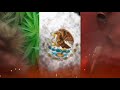 5050 Ft Nektar Mb Pelon 15
