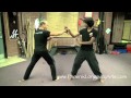 Eagle Claw Kung Fu Awesome