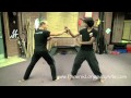Eagle Claw Kung Fu, Awesome! 