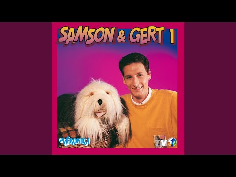 Feest Vandaag - Samson & Gert