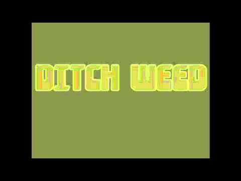 Ditchweed: Earth