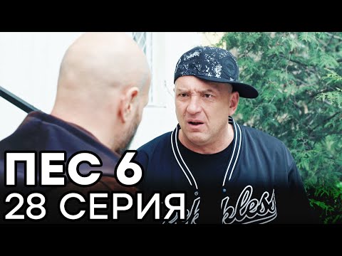 Сериал ПЕС 6 - 6 сезон - 28 серия - ВСЕ СЕРИИ смотреть онлайн | СЕРИАЛЫ ICTV