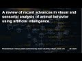 Visual And Sensorial Analysis Of Animal Behavior Using Artificial Intelligence Parma Italy 2024
