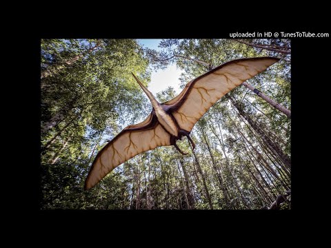 Jim Capaldi & The Contenders - Whale Meat Again (Live 1978, Groningen, Netherlands, March 26)