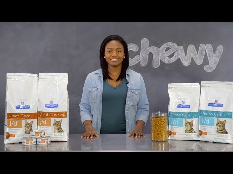 Hill's Prescription Diet Cat Food | Chewy