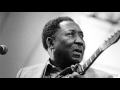 Muddy Waters - Iodine In My Coffee
