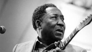Muddy Waters - Iodine In My Coffee