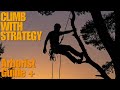 Arborist Guide For Strategical Tree Climbing Work Positioning