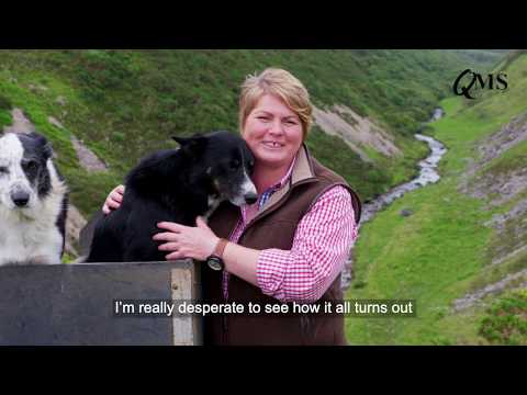 Meat With Integrity Behind the Scenes: Joyce Campbell