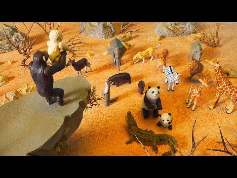 アニアどうわ　元気な子