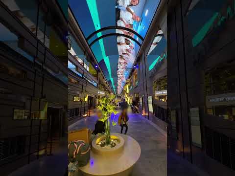 Thumbnail for Japan's Largest Luxury Cruise Ship "MSC Bellissima"