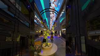 Japan's Largest Luxury Cruise Ship "MSC Bellissima"