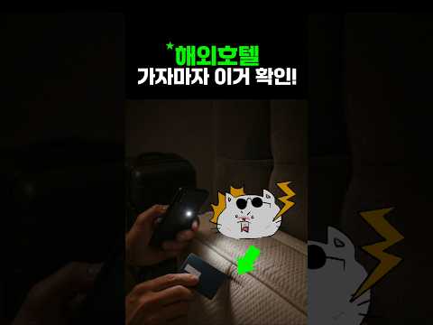 해외 호텔 도착 시 필수 확인 사항: 베드버그 주의보