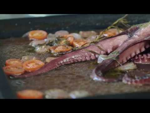 Manual de Instruções - Episódio 6 - Polvo Assado