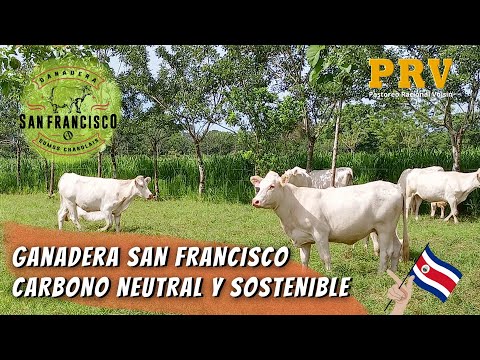 Ganadera San Francisco PRV: "Carbono Neutral y Sostenible"!!!  🐂🌎