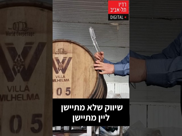   דני וידיסלבסקי מסביר על החשיבות של איסוף רשימת תפוצה ואיך לשמור איתה על קשר, מתוך שיחה של מוטי גולדמן, הבעלים של יקב וילהלמה, עם דני וידיסלבסקי,...