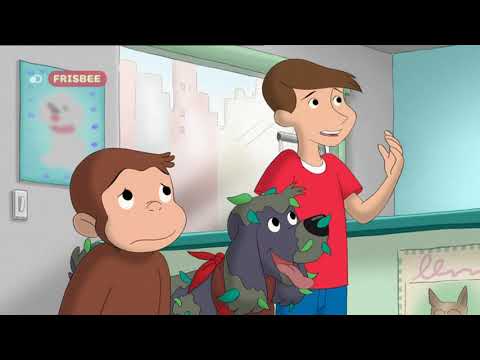 11x06 George toelettatore di cani