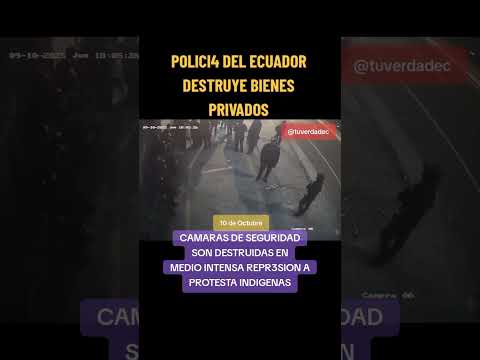 Ecuador Paro Nacional Indigenas Subsidios Guayas Quito Ambato Pichincha Manabí Cuenca Loja CONSULTA