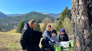 Download lagu High in the Carpathians 🌲 Harvesting Birch Sap & Cooking Traditional Food | Family of 6 Life 🇺🇦 mp3 Download lagu High in the Carpathians 🌲 Harvesting Birch Sap & Cooking Traditional Food | Family of 6 Life 🇺🇦 mp3