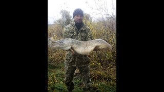 Ловля щуки зимой на цикаду