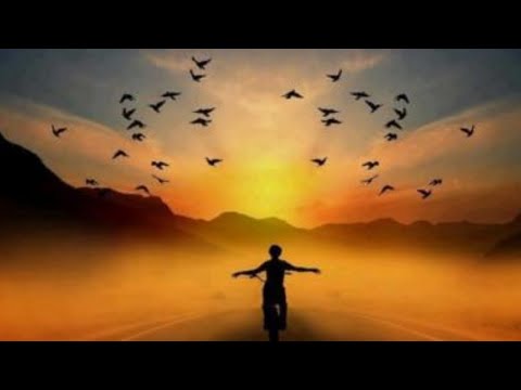 Estudo de Gosho - 28/04/2020 - "A Felicidade Neste Mundo"