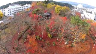 preview picture of video 'もみじ園　（新潟県長岡市 / 2014.11.20）'
