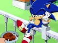 Sonic Doesn T Like Cat Food And He Doesn T Want Your Crickets