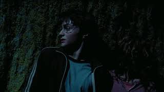 Buckbeak Saved Harry And Hermione - Harry Potter A