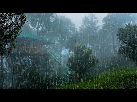 Soothing Rain for Sleep - Sound of heavy thunderstorm and thunder on the roof in the foggy forest