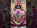 Sivan Whatsapp Status Tamil ️ Lord Shiva Whatsapp Status Tamil