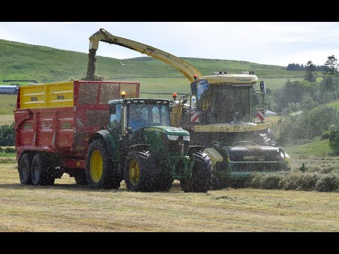 Krone Bigx 580 in heavy July 1st cut silage 2020