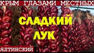 Сладкий ялтинский лук | Крым 2017