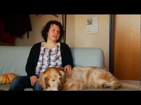 Tiergestütztes Arbeiten St. Benedikt