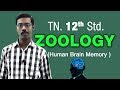 Human Physiology Human Brain Memory Part Of Human Body 12th Std Zoology