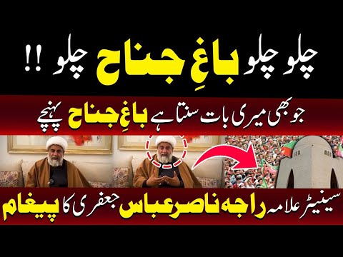 چلو چلو باغِ جناح: علامہ راجہ ناصر عباس کی حامیوں کو شرکت کی دعوت