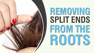 How to remove split ends from the roots? - Dr. Amee Daxini