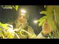 Nitecore HA23 UHE Prožektorius ant galvos, 600 lm, 132 m, 3 spalvų temperatūros, 3 × AAA, IP68