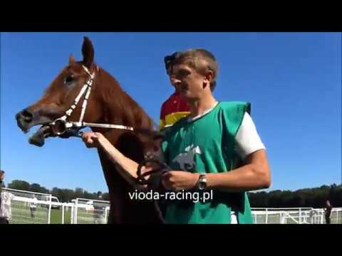 Gon. III - 9.06.2019 - Barysch AS (Bystival Kossack - Zer Nabiah)