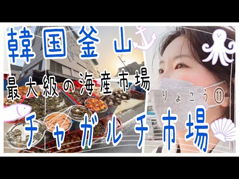 Coreia Ryoko⑪KOR/ENGSUB Viagem individual pela Coreia❗️Um dos três principais mercados turísticos de frutos do mar de Busan, repleto de 511 lojas! Edição do Mercado Jagalchi
